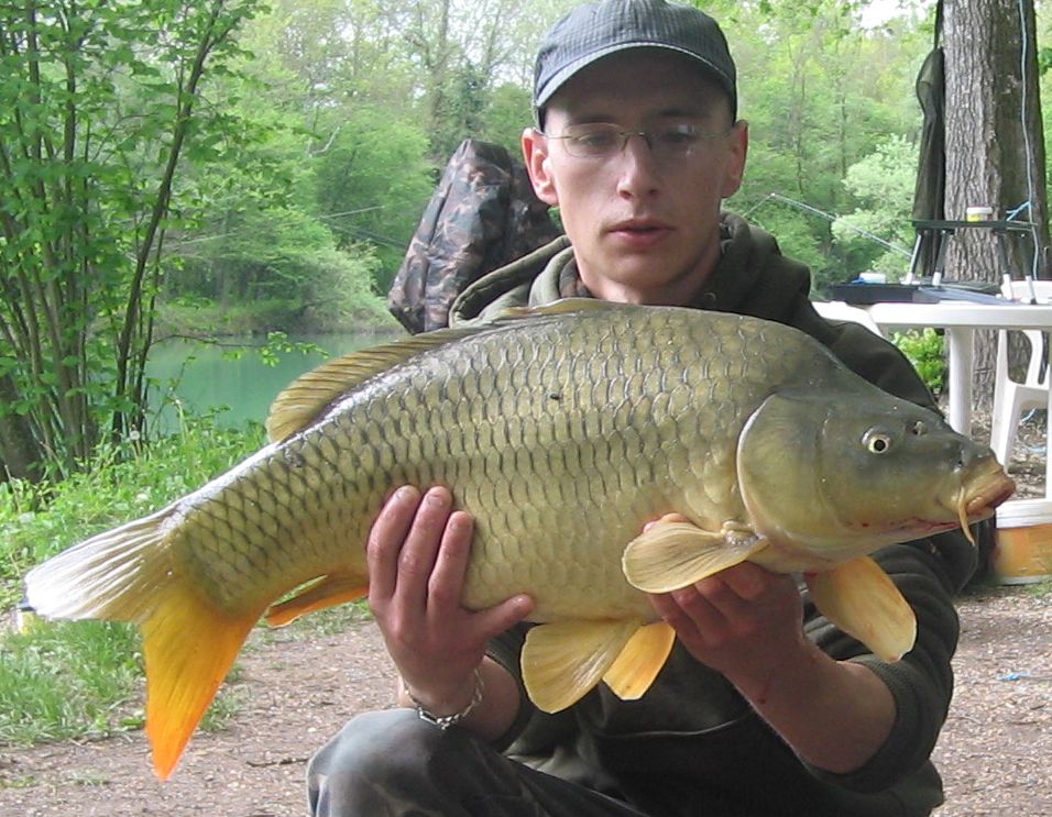 commune mai 2012.jpg